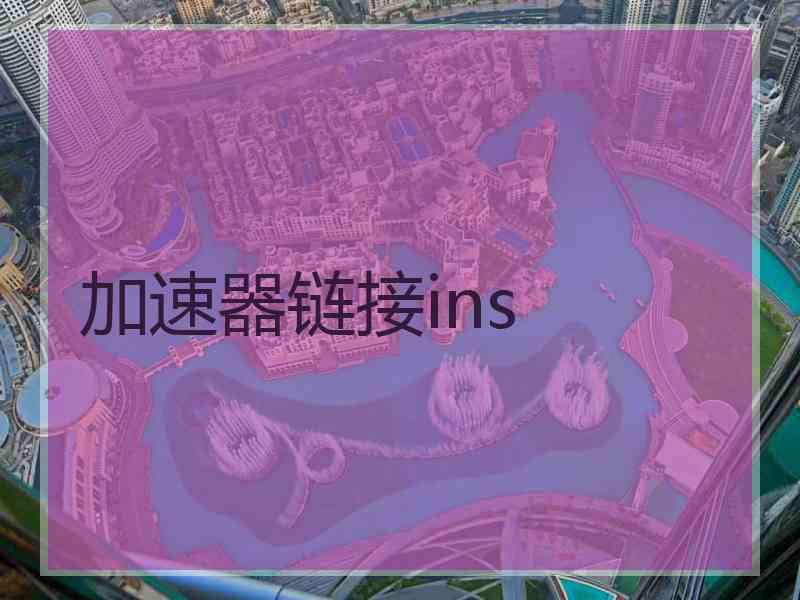 加速器链接ins