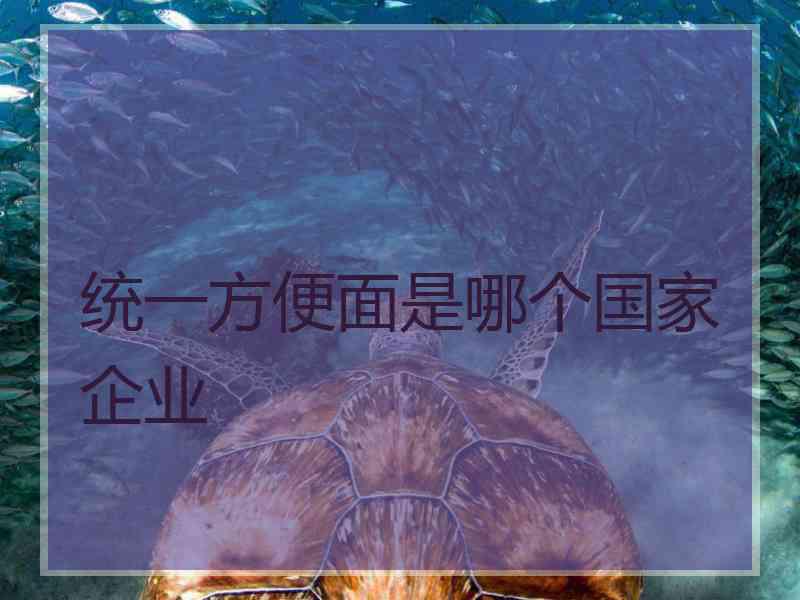 统一方便面是哪个国家企业