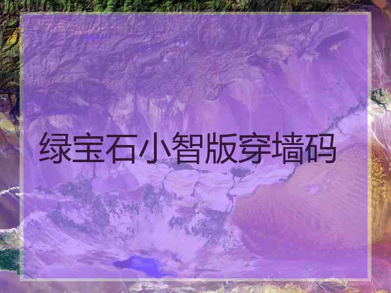 绿宝石小智版穿墙码