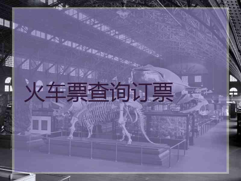 火车票查询订票