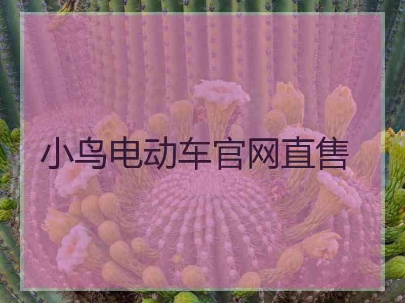 小鸟电动车官网直售