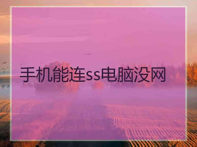 手机能连ss电脑没网