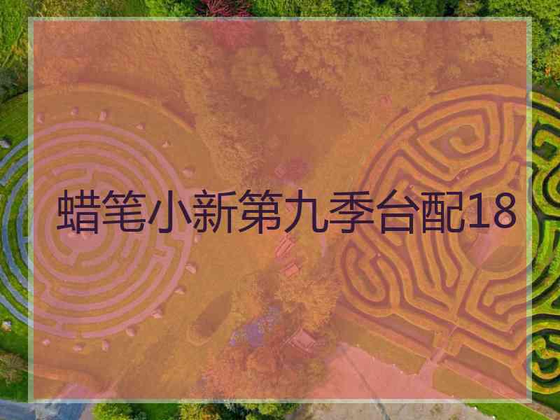 蜡笔小新第九季台配18