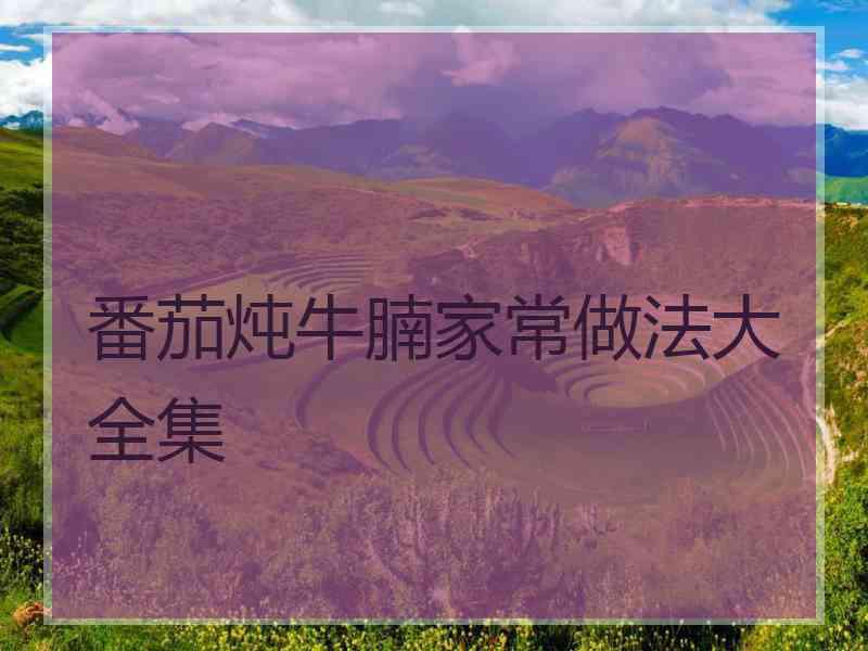 番茄炖牛腩家常做法大全集