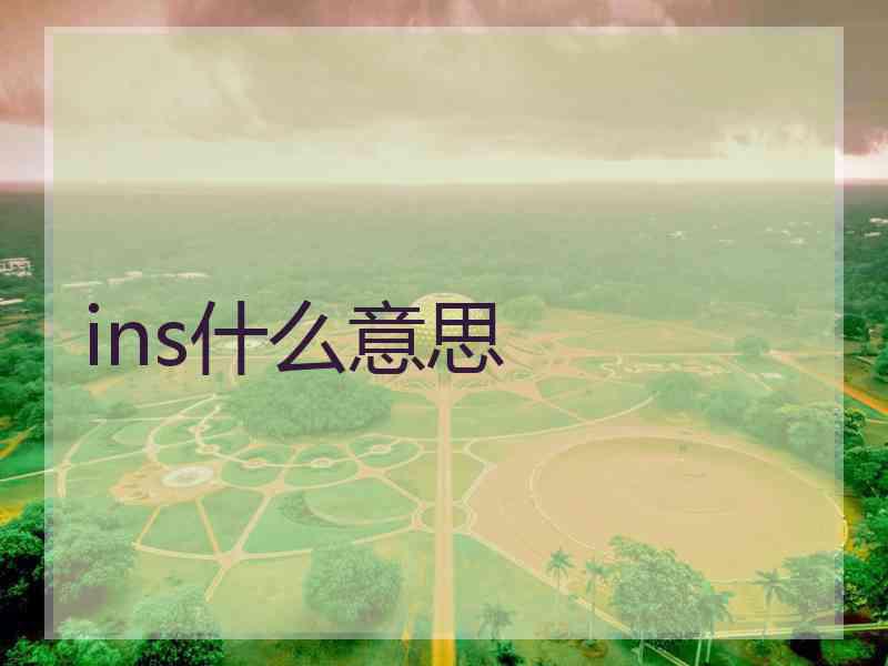 ins什么意思