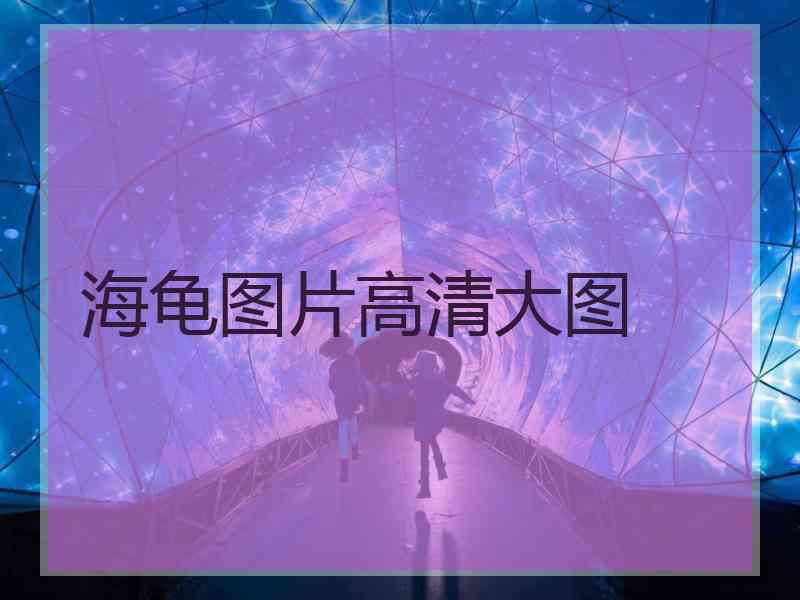海龟图片高清大图