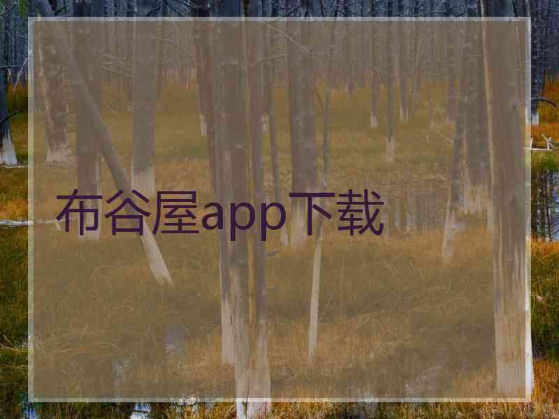 布谷屋app下载
