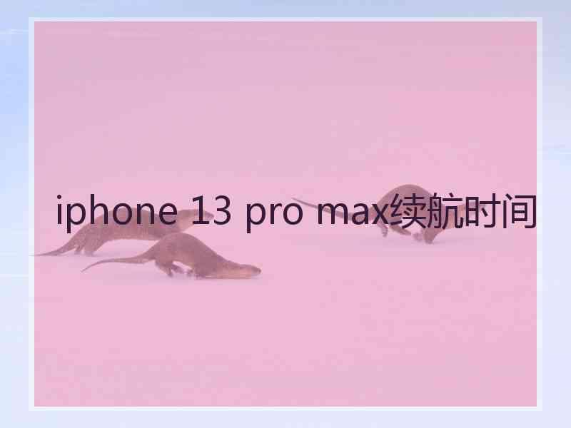 iphone 13 pro max续航时间