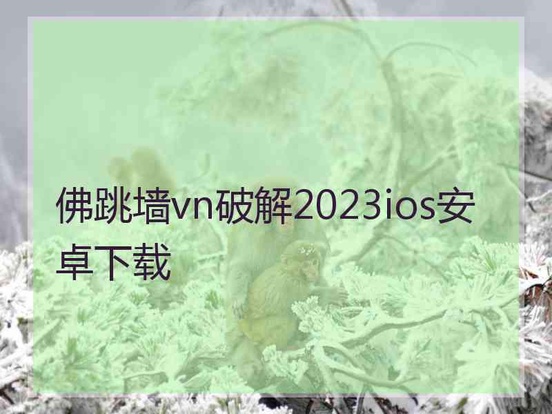 佛跳墙vn破解2023ios安卓下载
