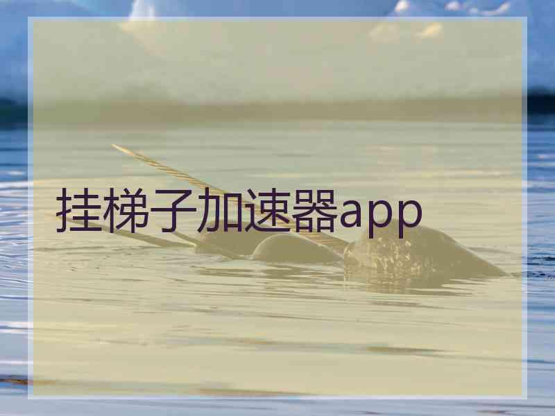 挂梯子加速器app