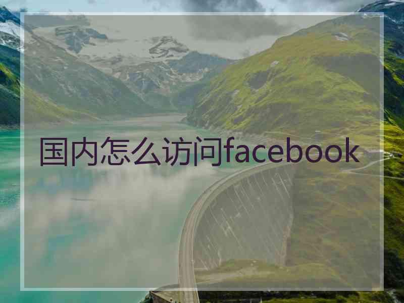 国内怎么访问facebook