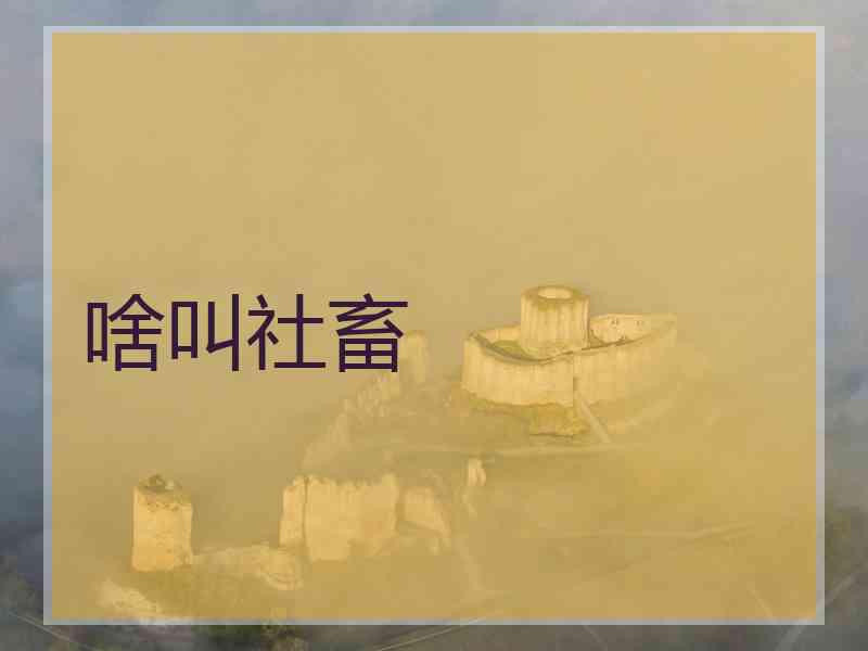 啥叫社畜