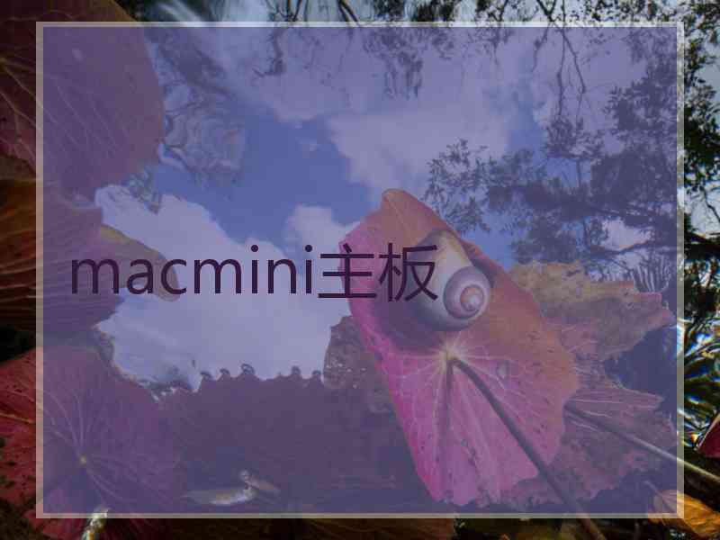 macmini主板