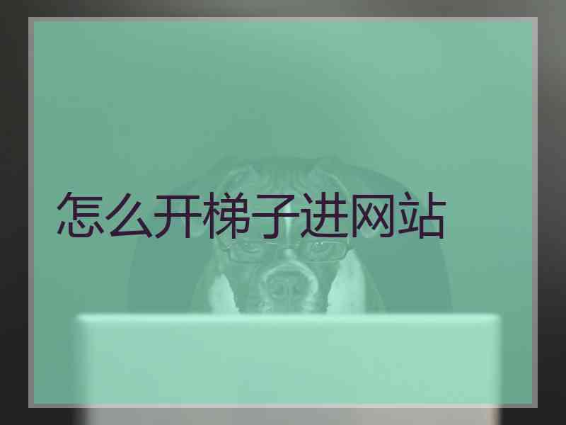 怎么开梯子进网站
