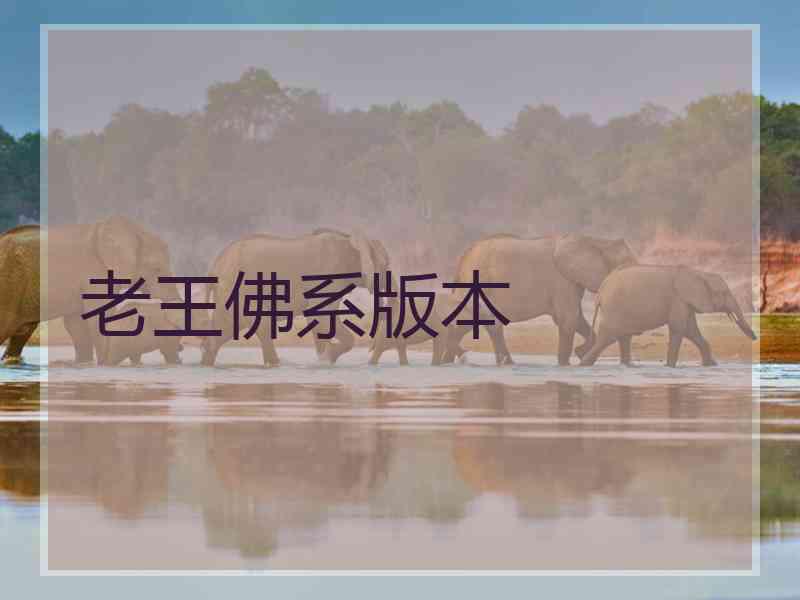 老王佛系版本