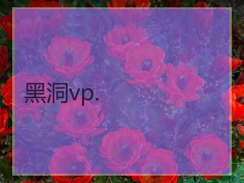 黑洞vp.