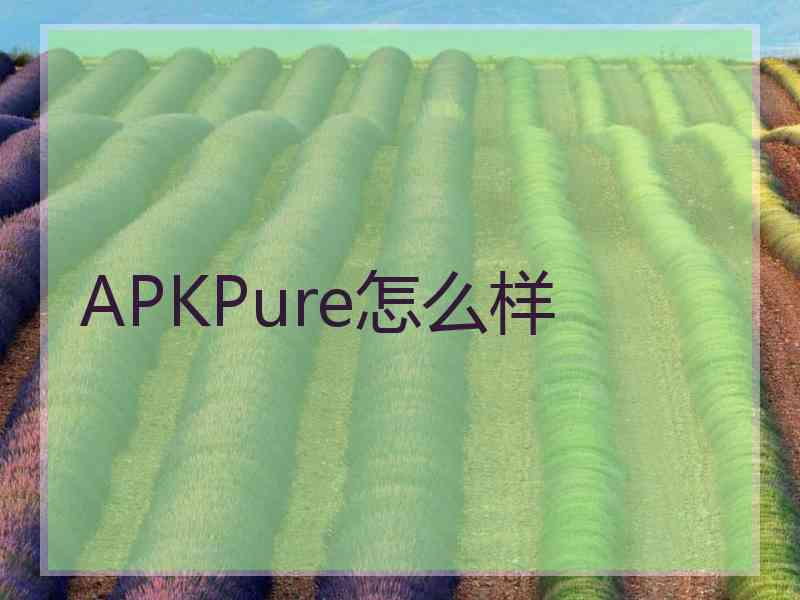 APKPure怎么样