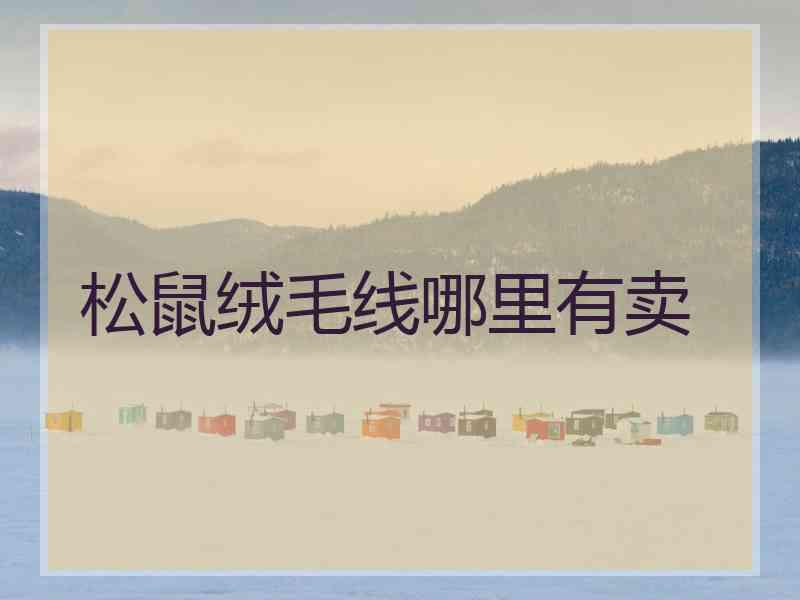 松鼠绒毛线哪里有卖