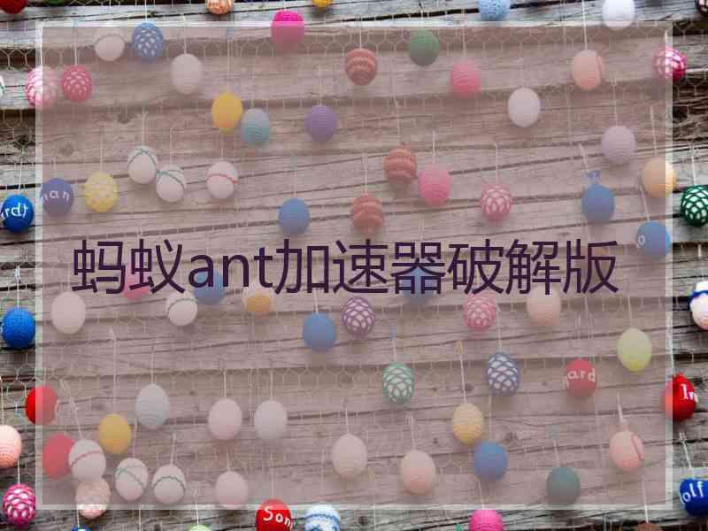 蚂蚁ant加速器破解版