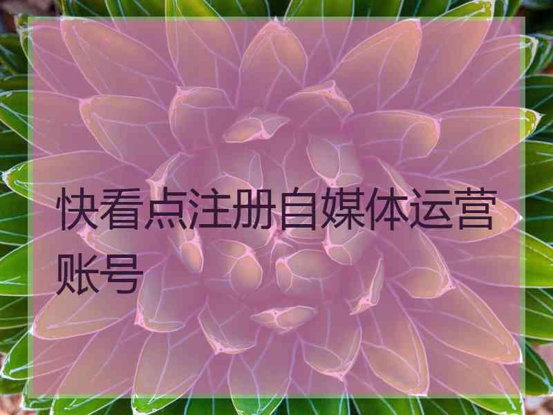 快看点注册自媒体运营账号