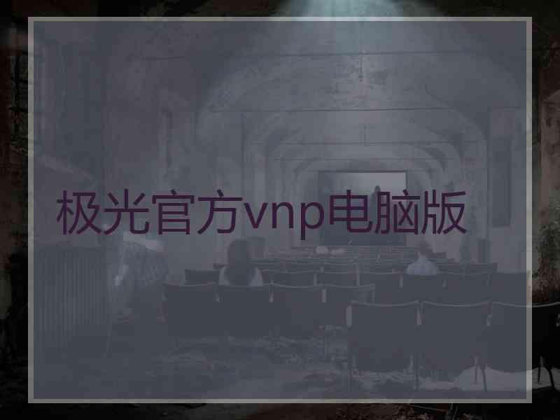 极光官方vnp电脑版