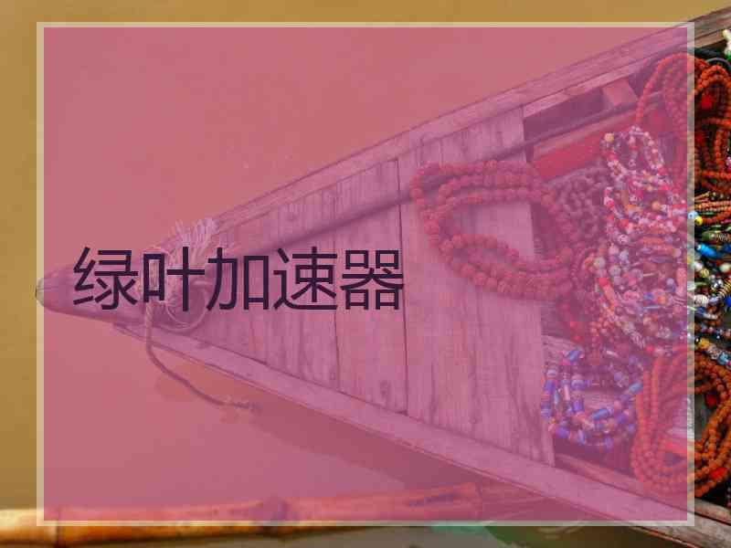绿叶加速器
