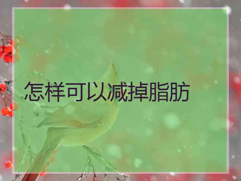 怎样可以减掉脂肪