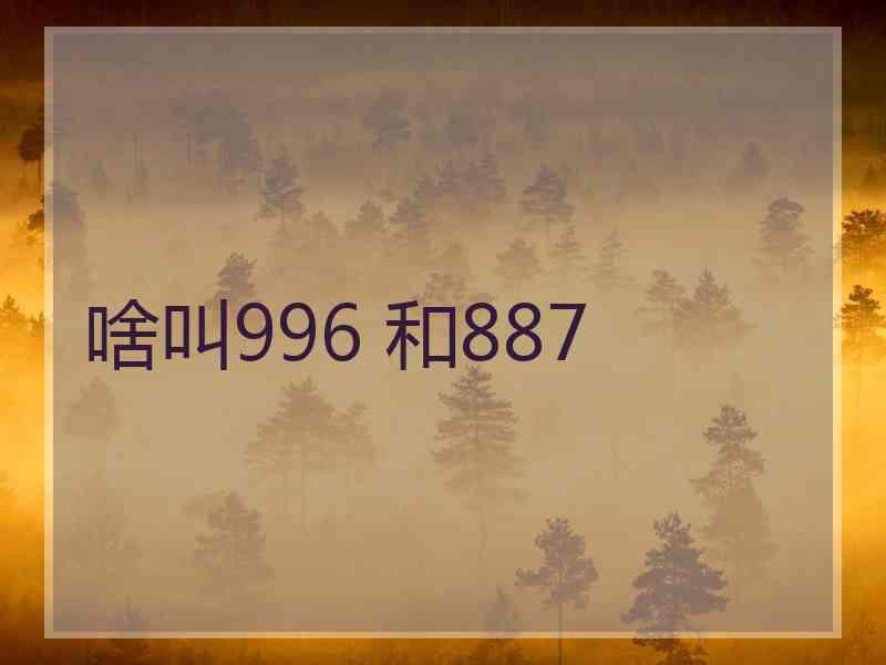 啥叫996 和887