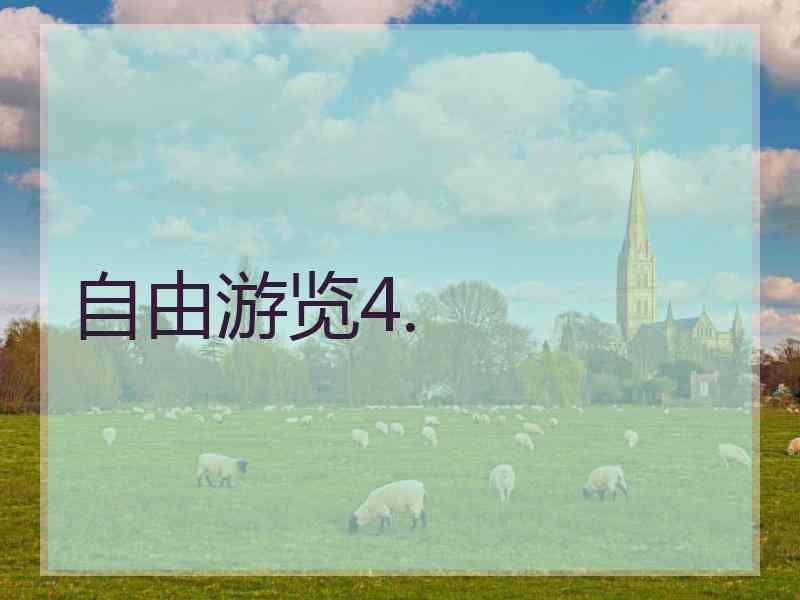 自由游览4.