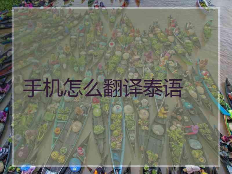 手机怎么翻译泰语