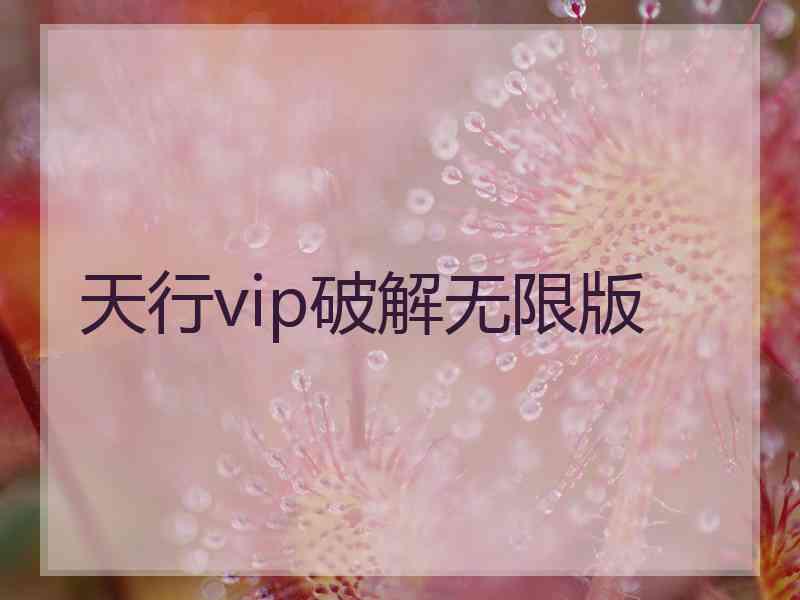 天行vip破解无限版