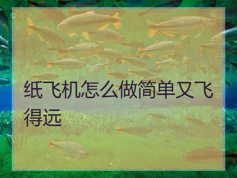 纸飞机怎么做简单又飞得远