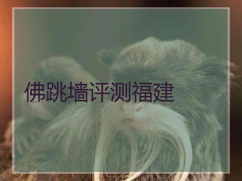 佛跳墙评测福建