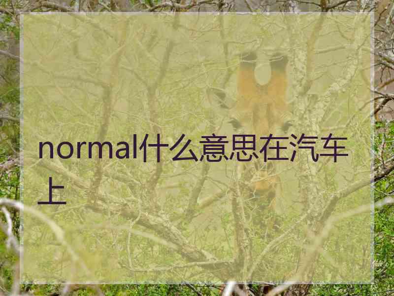 normal什么意思在汽车上
