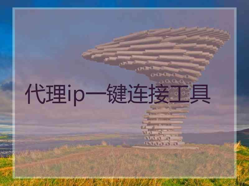代理ip一键连接工具