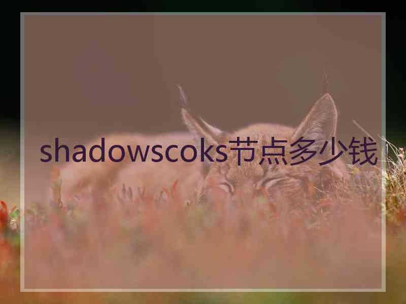 shadowscoks节点多少钱
