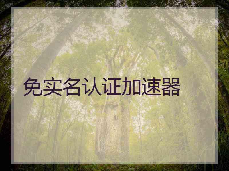 免实名认证加速器