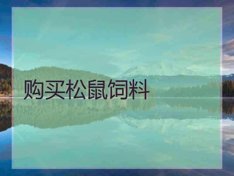 购买松鼠饲料