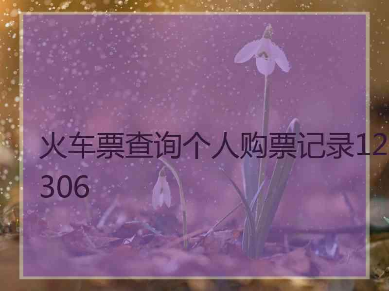 火车票查询个人购票记录12306