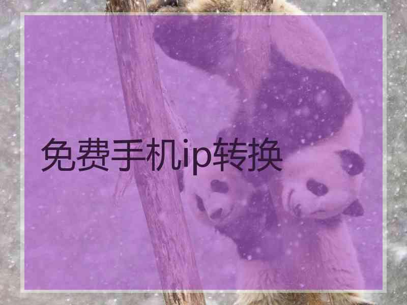 免费手机ip转换