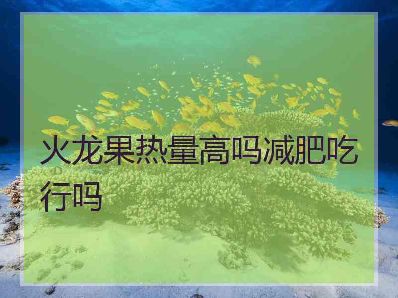 火龙果热量高吗减肥吃行吗