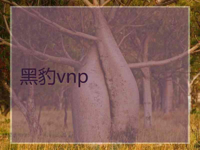 黑豹vnp