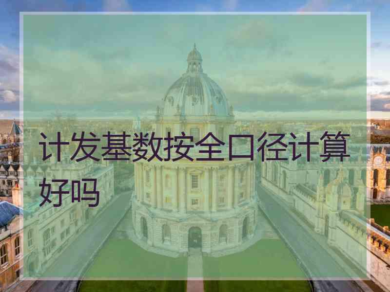 计发基数按全口径计算好吗