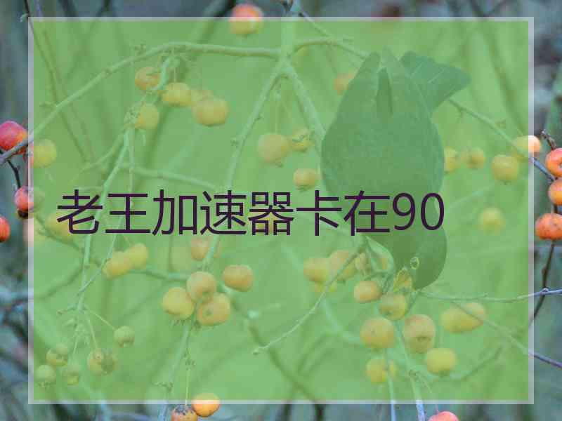 老王加速器卡在90