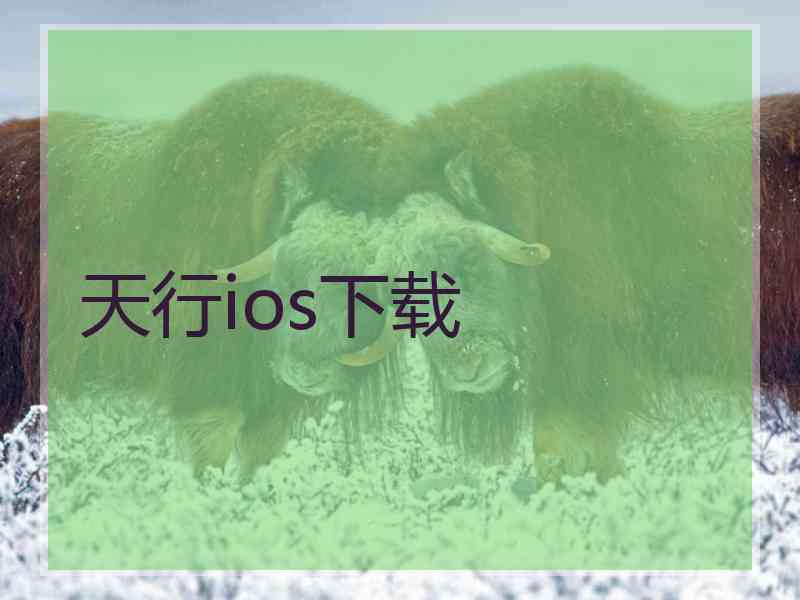 天行ios下载