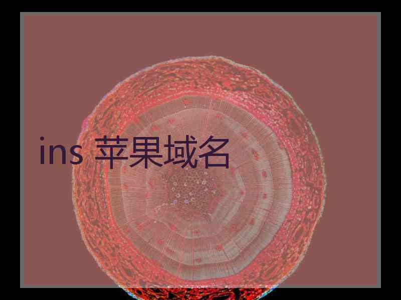 ins 苹果域名