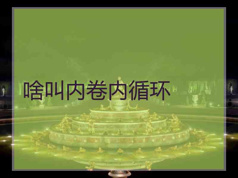 啥叫内卷内循环