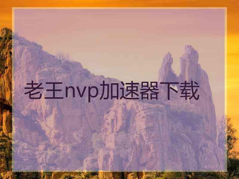 老王nvp加速器下载