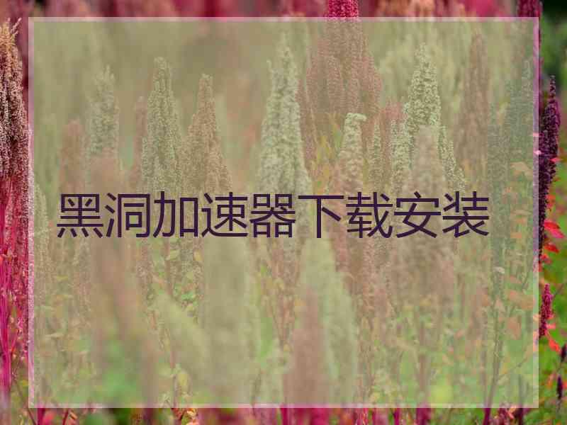 黑洞加速器下载安装