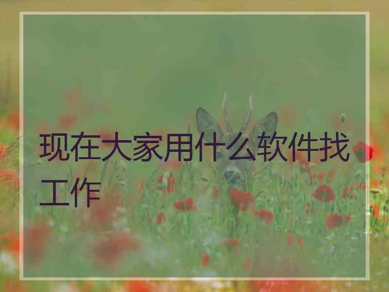 现在大家用什么软件找工作
